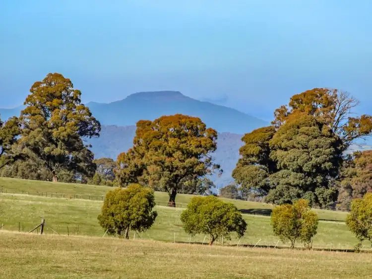 Fifth view of Homely land listing, 980 Tabletop Road, Tolmie VIC 3723