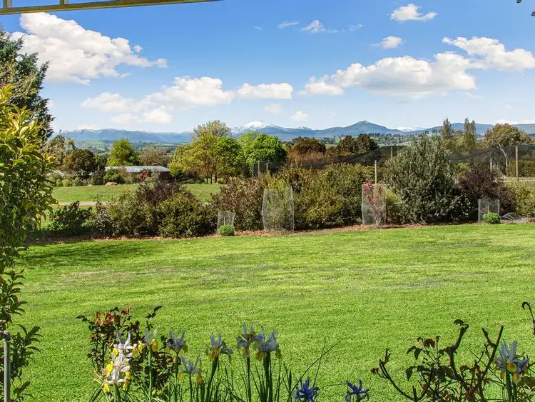 Fourth view of Homely house listing, 41 Ogilvies Road, Mansfield VIC 3722