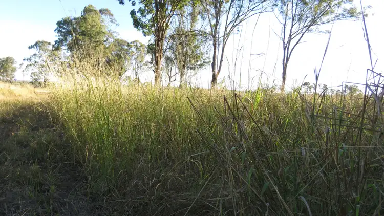 Sixth view of Homely rural property listing, 193 Webbers Bridge Road, Woorooden, Murgon QLD 4605