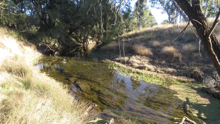 Seventh view of Homely rural property listing, 193 Webbers Bridge Road, Woorooden, Murgon QLD 4605