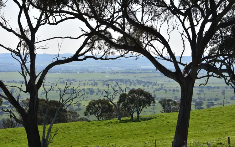 Fourth view of Homely rural property listing, Address available on request