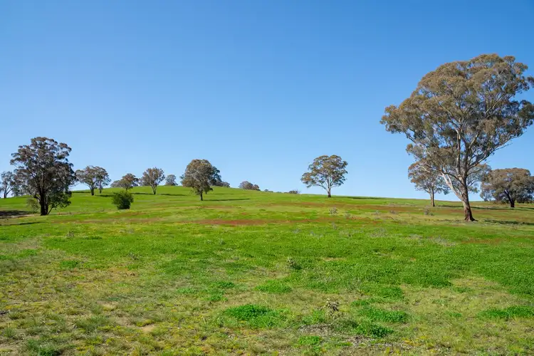 Fifth view of Homely rural property listing, Address available on request