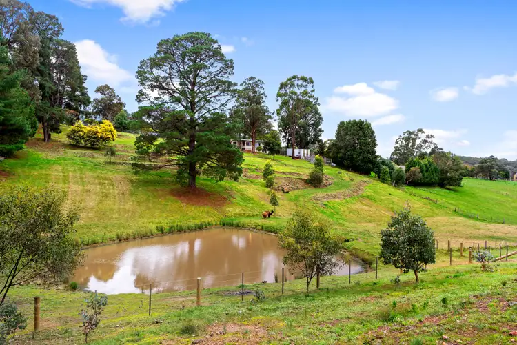 Second view of Homely house listing, 48 Collins Lane, Yarrambat VIC 3091