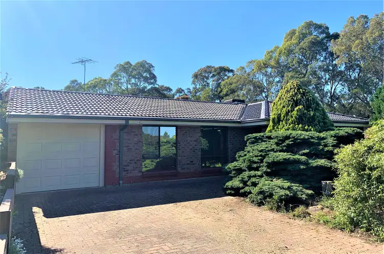 Main view of Homely house listing, 13 Anita Court, Aberfoyle Park SA 5159