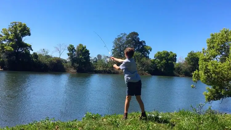 Second view of Homely rural property listing, 383 Waterfall Way, Bellingen NSW 2454