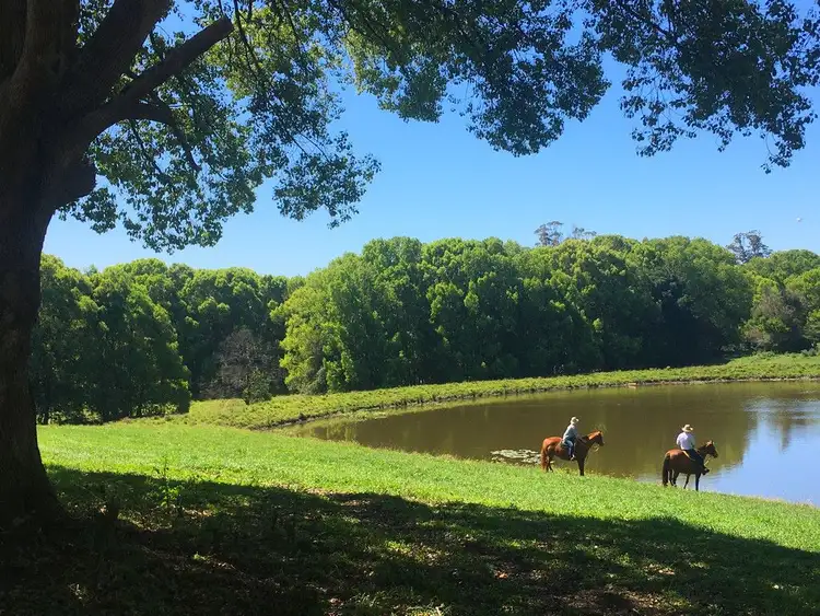 Seventh view of Homely rural property listing, 383 Waterfall Way, Bellingen NSW 2454