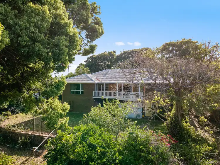 Second view of Homely house listing, 255 David low Way, Bli Bli QLD 4560