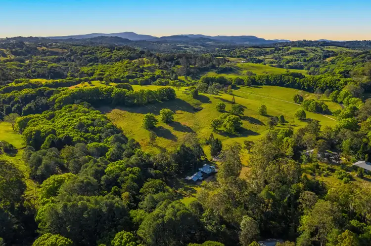 Fourth view of Homely house listing, 495 Friday Hut Road, Possum Creek NSW 2479