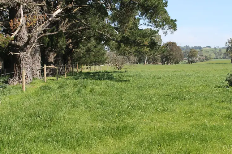 Third view of Homely rural property listing, 45 Allen Road East, Lardner VIC 3821