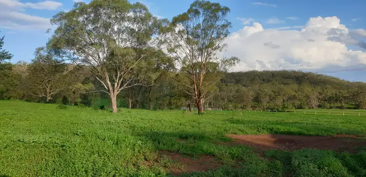 Second view of Homely rural property listing, 281 Bernard Road, Nobby QLD 4360