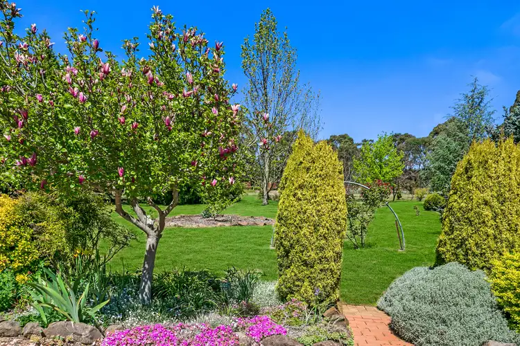 Fifth view of Homely rural property listing, 11 Andeva Road, Hanging Rock NSW 2340