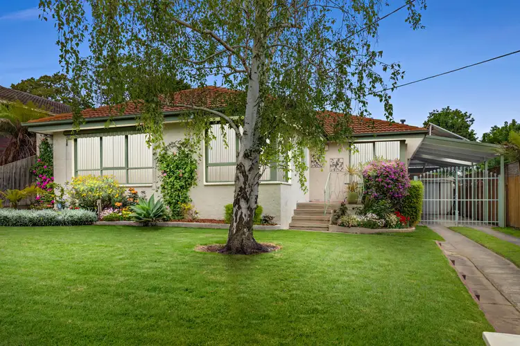 10 Malcolm Court, Frankston VIC 3199
