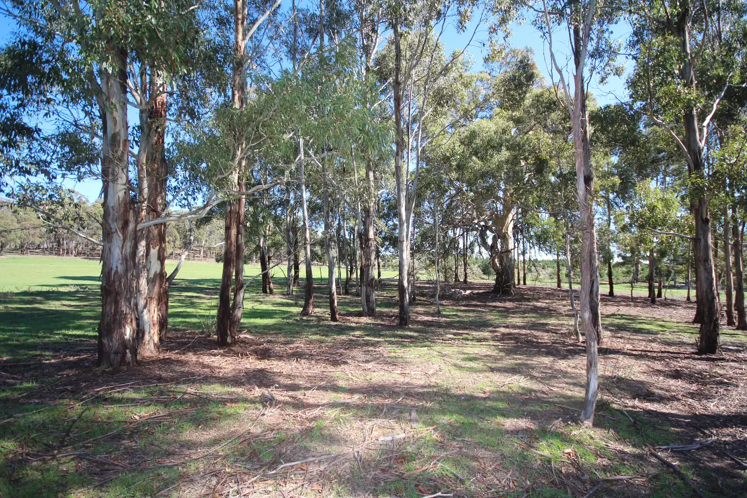 Main view of Homely rural property listing, Lot 102, 304 Black Bullock Road, Oberon NSW 2787