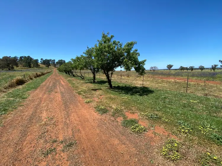Second view of Homely rural property listing, 17L Kurrajong Drive, Dubbo NSW 2830