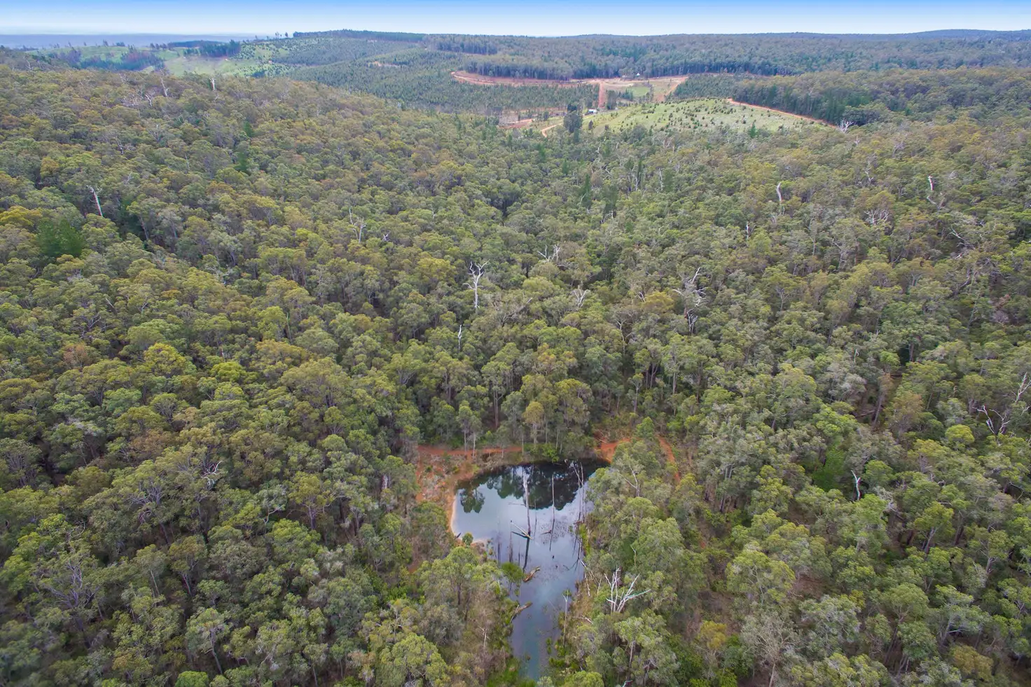 Main view of Homely rural property listing, 58 Rowe Road, Nannup WA 6275