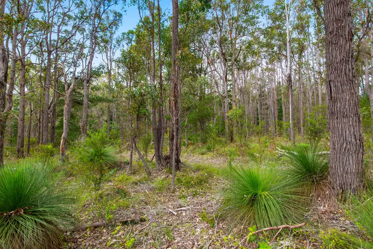 Fourth view of Homely rural property listing, 58 Rowe Road, Nannup WA 6275
