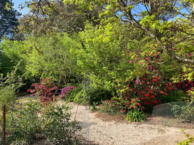 Second view of Homely land listing, 66 Evans Lookout Road, Blackheath NSW 2785