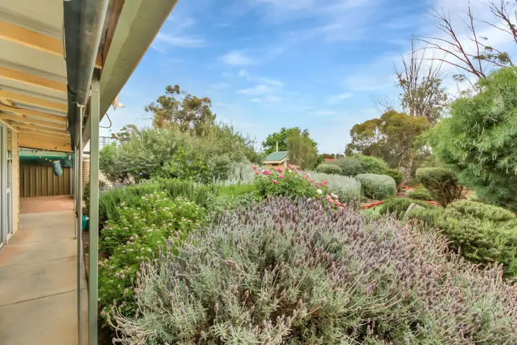 Sixth view of Homely house listing, 226 Renmark Avenue, Renmark SA 5341