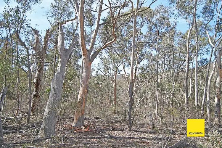 Third view of Homely land listing, 582 Neils Creek Road, Bungendore NSW 2621