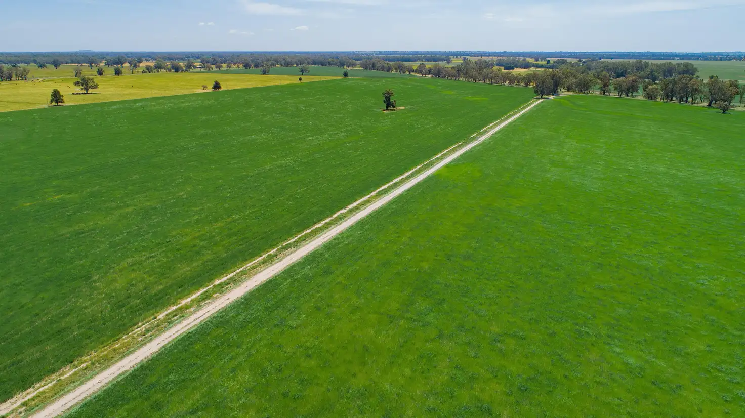 Main view of Homely rural property listing, Address available on request