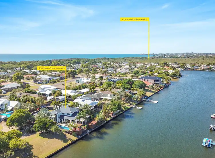 Main view of Homely house listing, 3 Willaroo Court, Wurtulla QLD 4575