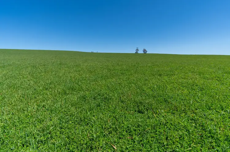 Fifth view of Homely rural property listing, 2 Langs Road, Oberon NSW 2787