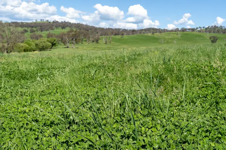 Second view of Homely rural property listing, 1859 Beaconsfield Road, Oberon NSW 2787