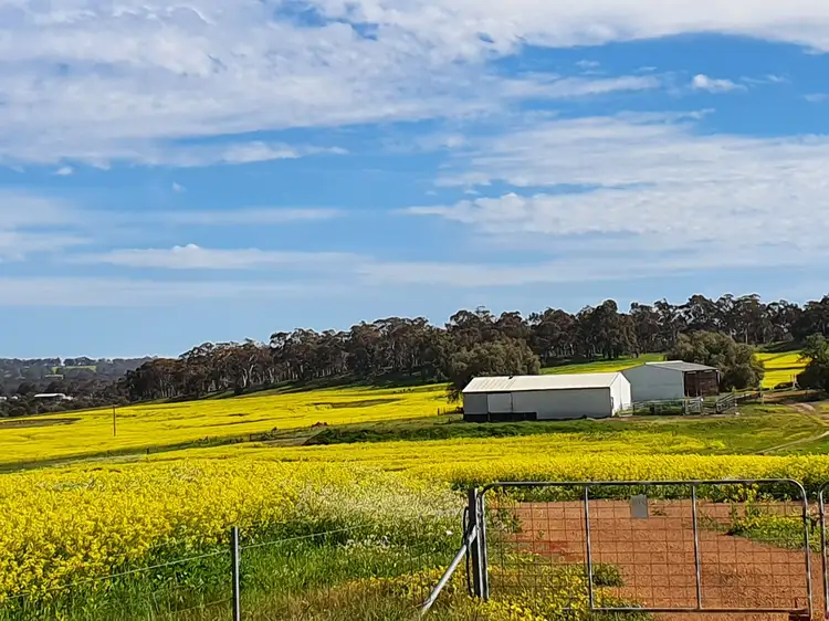 Main view of Homely rural property listing, 23 Westdale Road, Beverley WA 6304