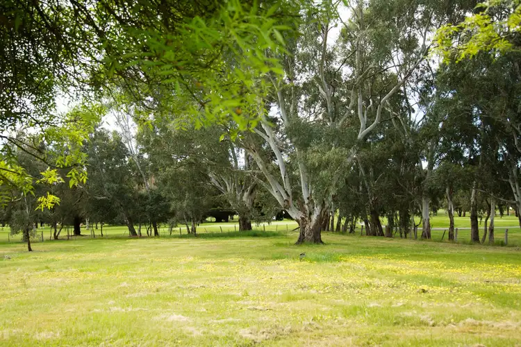 Second view of Homely land listing, Lot 4, 117 Malcolm Street, Mansfield VIC 3722