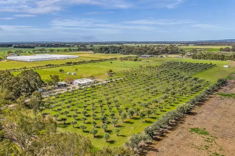 1659 Boundary Road, Gawler River SA 5118
