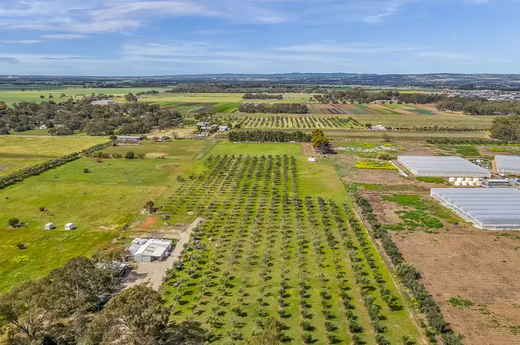 Second view of Homely rural property listing, 1659 Boundary Road, Gawler River SA 5118