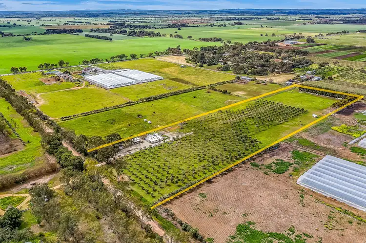Sixth view of Homely rural property listing, 1659 Boundary Road, Gawler River SA 5118