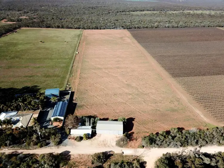 332 Costello Road, Loveday SA 5345