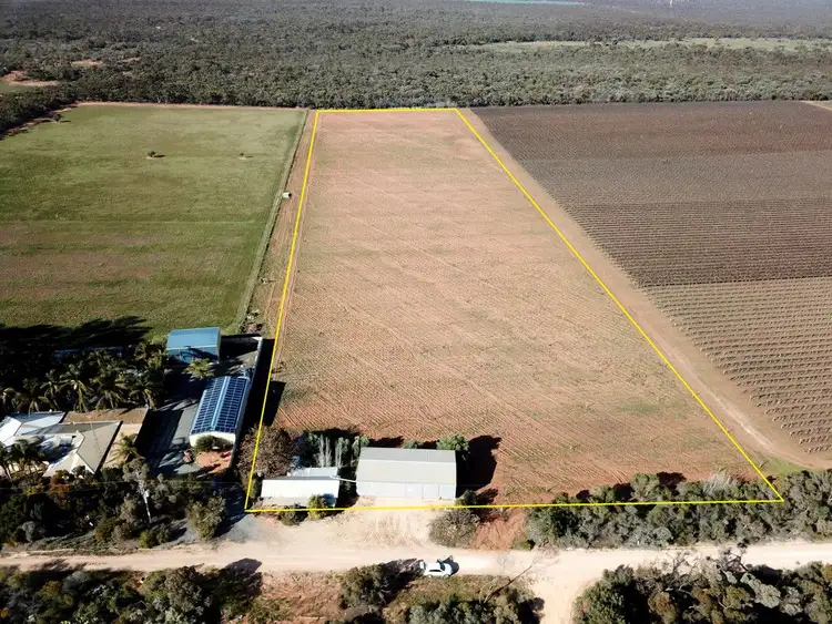 Third view of Homely rural property listing, 332 Costello Road, Loveday SA 5345