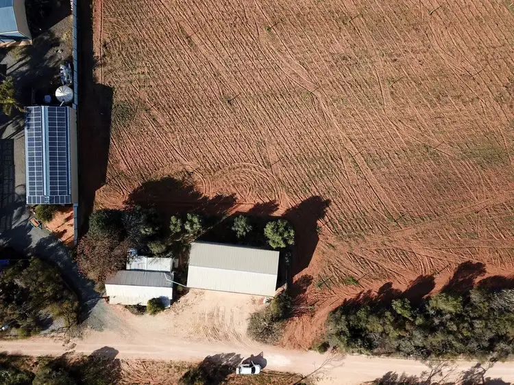 Fourth view of Homely rural property listing, 332 Costello Road, Loveday SA 5345