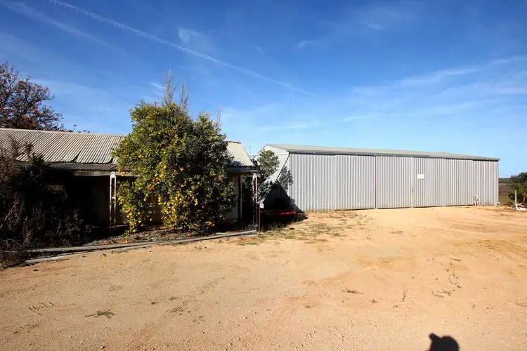 Fifth view of Homely rural property listing, 332 Costello Road, Loveday SA 5345