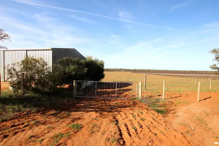 Sixth view of Homely rural property listing, 332 Costello Road, Loveday SA 5345