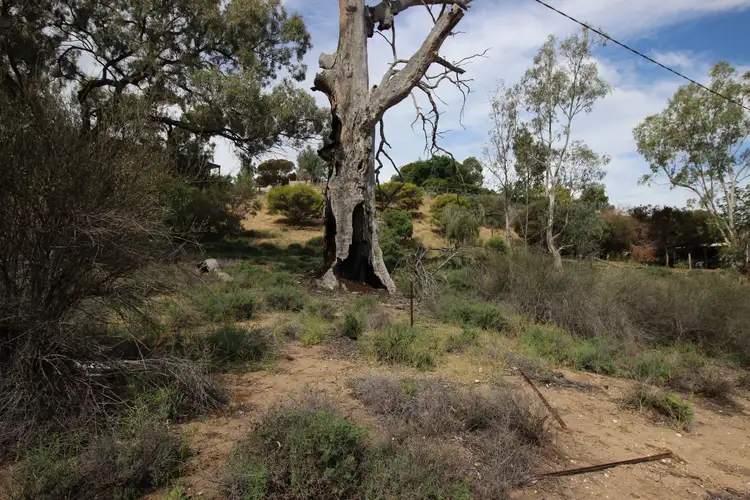 Main view of Homely land listing, Lots 46&47 Kookaburra Lane, Murbko SA 5320