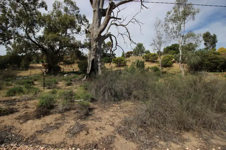 Third view of Homely land listing, Lots 46&47 Kookaburra Lane, Murbko SA 5320