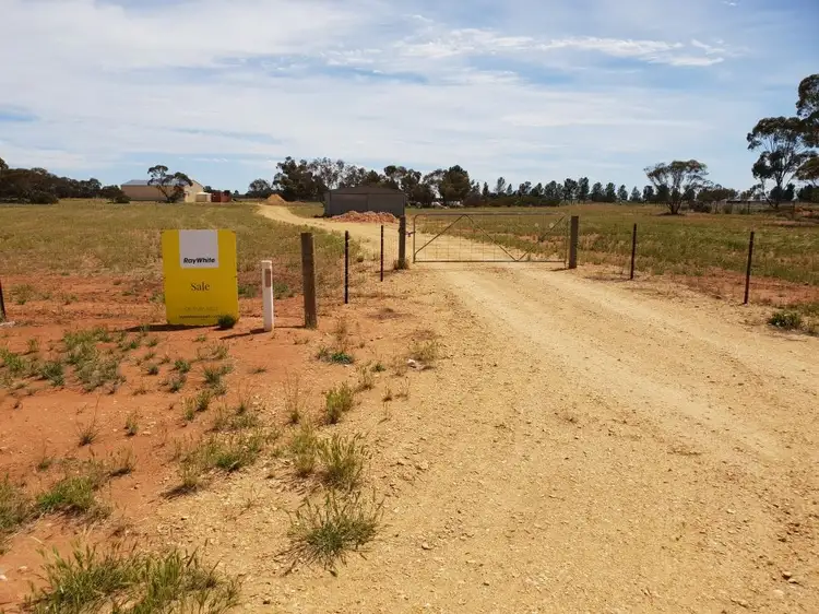 644 Thiele Road, Loveday SA 5345