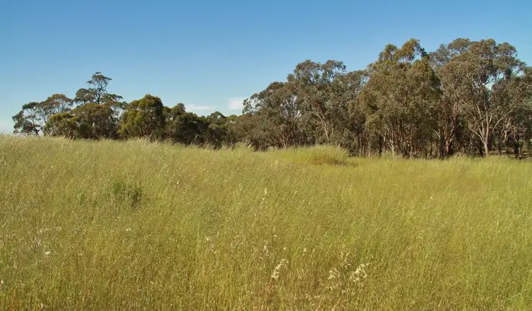Fourth view of Homely rural property listing, 122 Colbinabbin-Elmore Road, Colbinabbin VIC 3559
