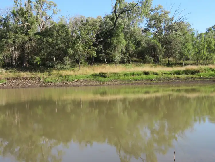 Fifth view of Homely rural property listing, 647 Clifton Road, Pittsworth QLD 4356