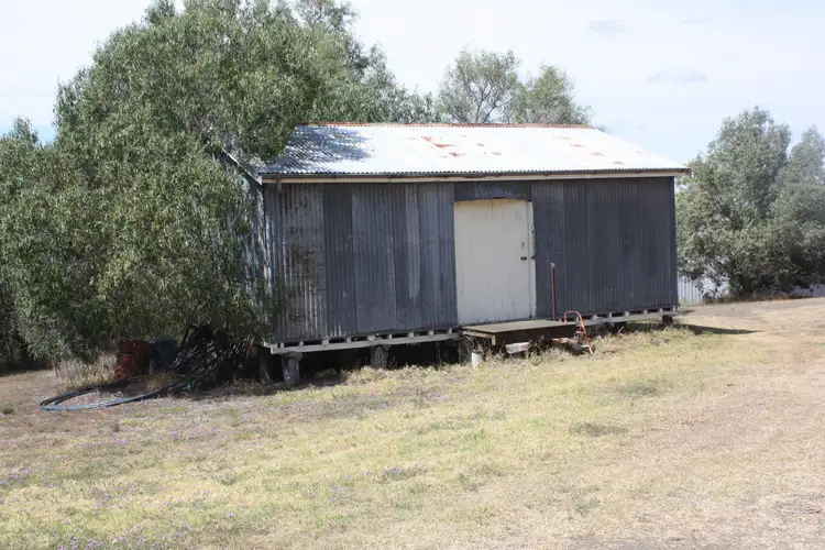 Seventh view of Homely rural property listing, 647 Clifton Road, Pittsworth QLD 4356