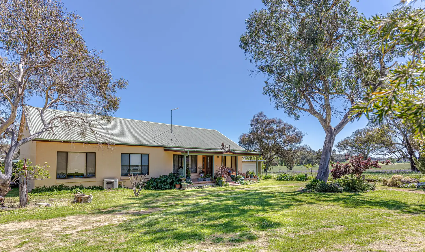 Main view of Homely rural property listing, 6 Sullivans Lane, Manildra NSW 2865