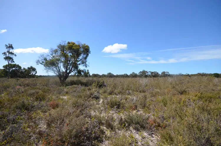 Main view of Homely rural property listing, Lot 29 Patricias Road, Edenhope VIC 3318