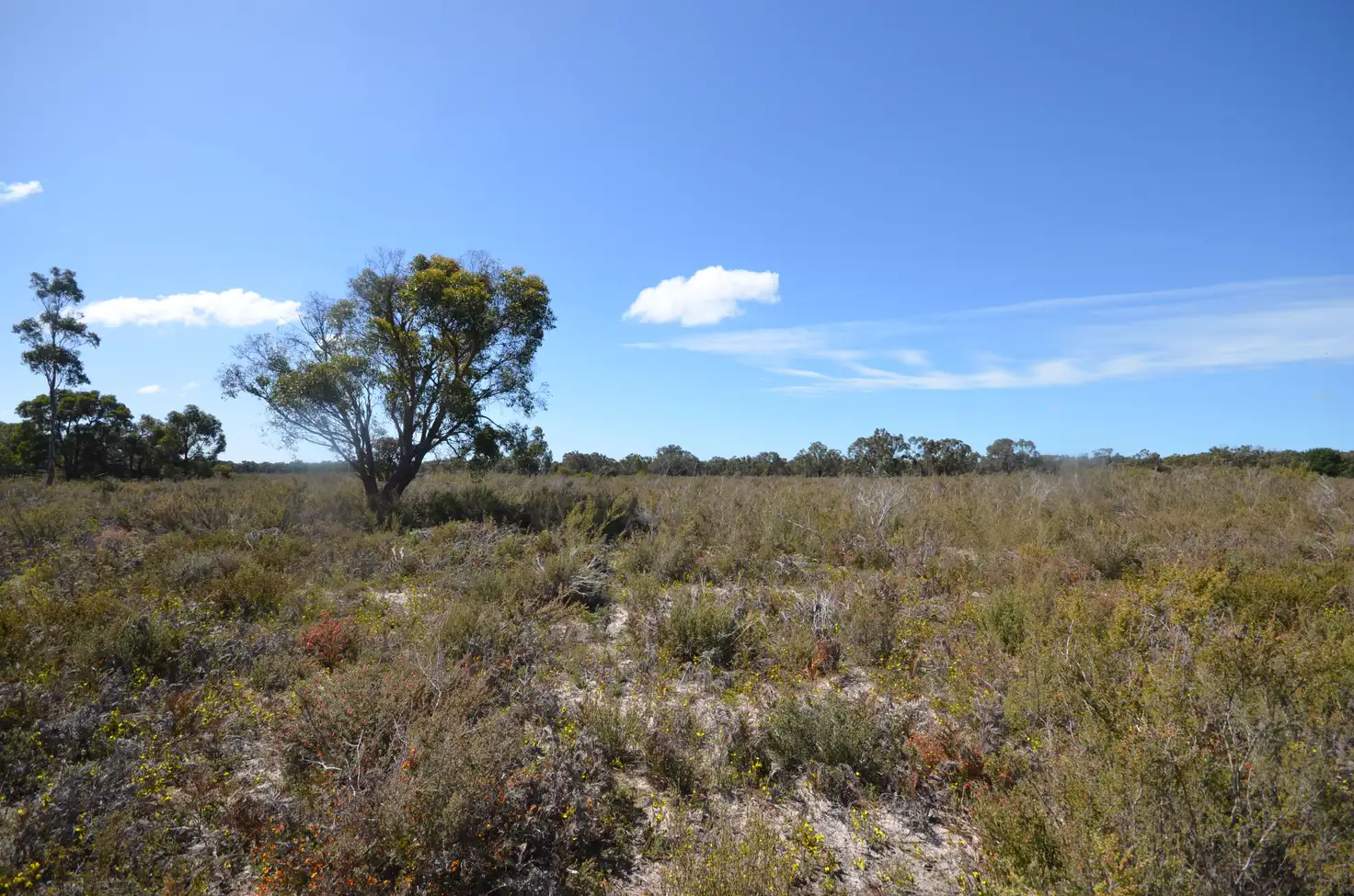 Main view of Homely rural property listing, Lot 29 Patricias Road, Edenhope VIC 3318