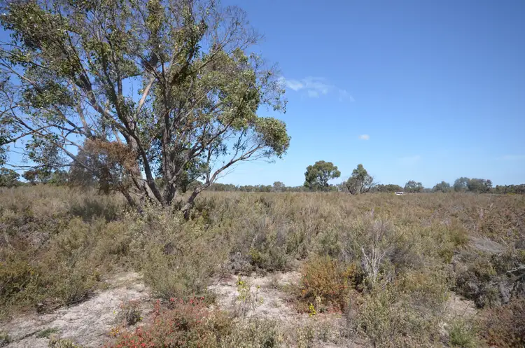 Fifth view of Homely rural property listing, Lot 29 Patricias Road, Edenhope VIC 3318
