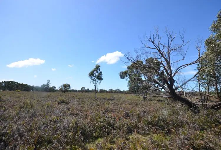 Sixth view of Homely rural property listing, Lot 29 Patricias Road, Edenhope VIC 3318