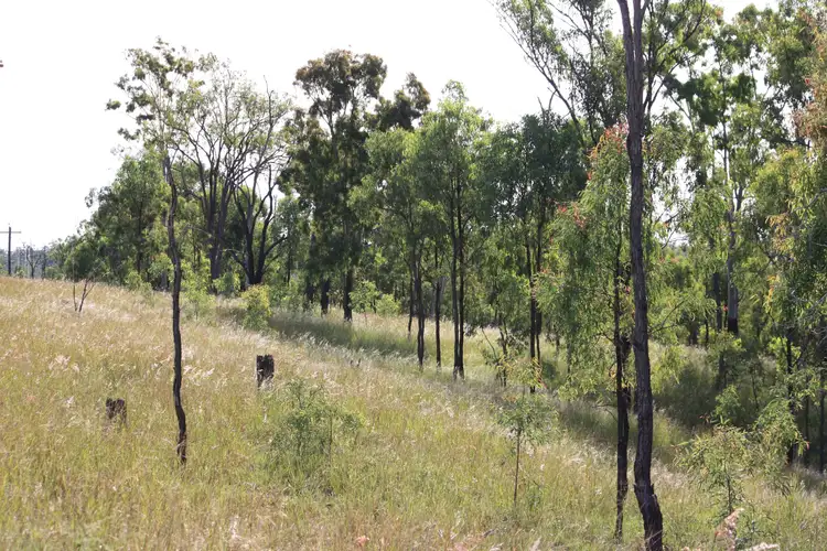Main view of Homely rural property listing, Lot 1 Moonlight Road, Eidsvold QLD 4627