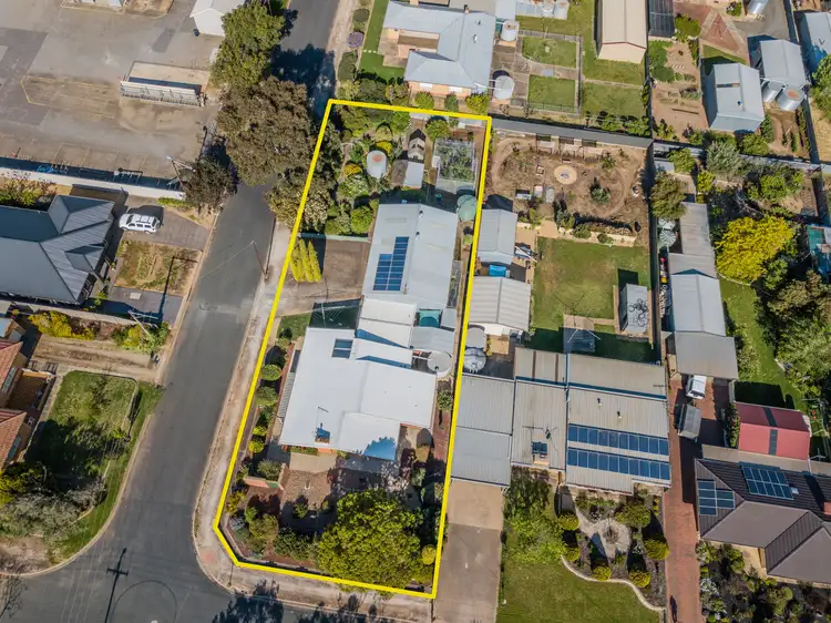 Main view of Homely house listing, 20 Kranz Street, Nuriootpa SA 5355